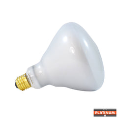 BR40 Incandescent Lamp