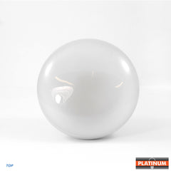 BR40 Flood Incandescent Light Bulb