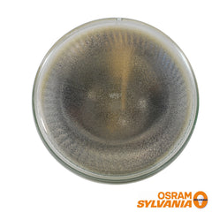 OSRAM 90w 120v PAR38 WSP12 bulb