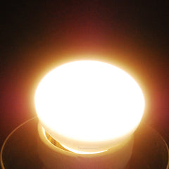 Incandescent R14 Light bulb