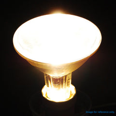 PAR30 Spot 10 light bulb