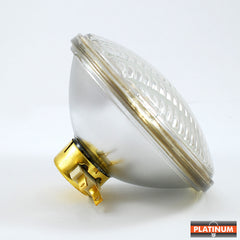 PAR46 Light Bulb