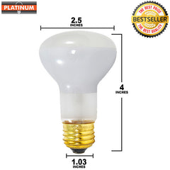R20 Light Bulb