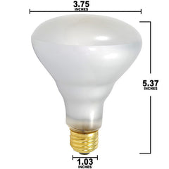 BR30 Incandescent Bulb