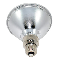 PAR38 Light Bulb