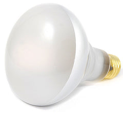 BR30 flood light bulb