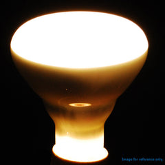 65w BR30 Light bulb