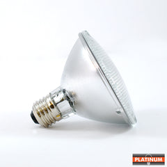 PAR30 Flood Bulb