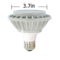 PAR30 LED