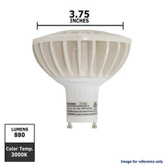 PAR30 Bulb