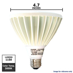 PAR38 Flood LED Bulb