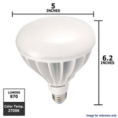 BR40 LED Bulb