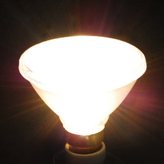 PAR38 flood halogen lamp