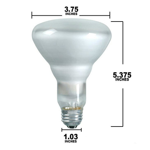 OSRAM 65w BR30 FL 120V Medium Base incandescent light bulb