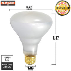 65w BR30  FL 120V  Medium Base incandescent light bulb