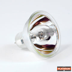 Platinum EFR 150w light bulb