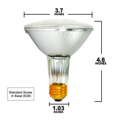 PAR30 Long Neck Bulb