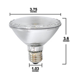 PAR30 Flood light bulb