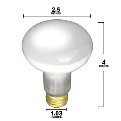 R20 Incandescent Bulb