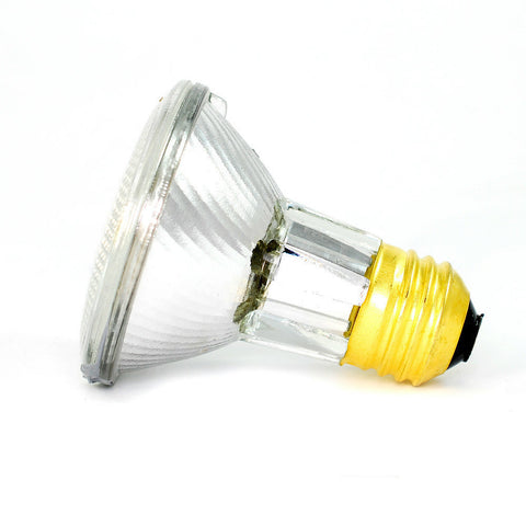 PLATINUM 50W 120V PAR20 WFL40 E26 Halogen Light Bulb